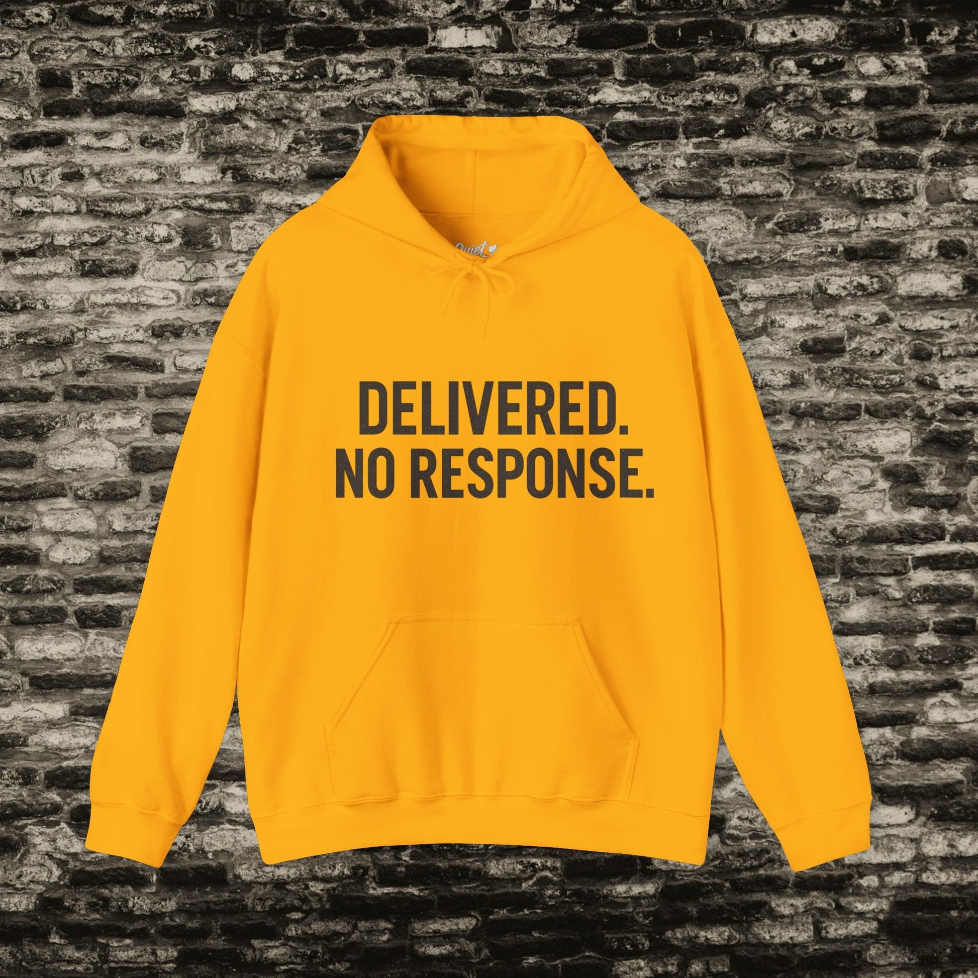 Delivered. No Response.” Hoodie – Anti-Social Drop Printify