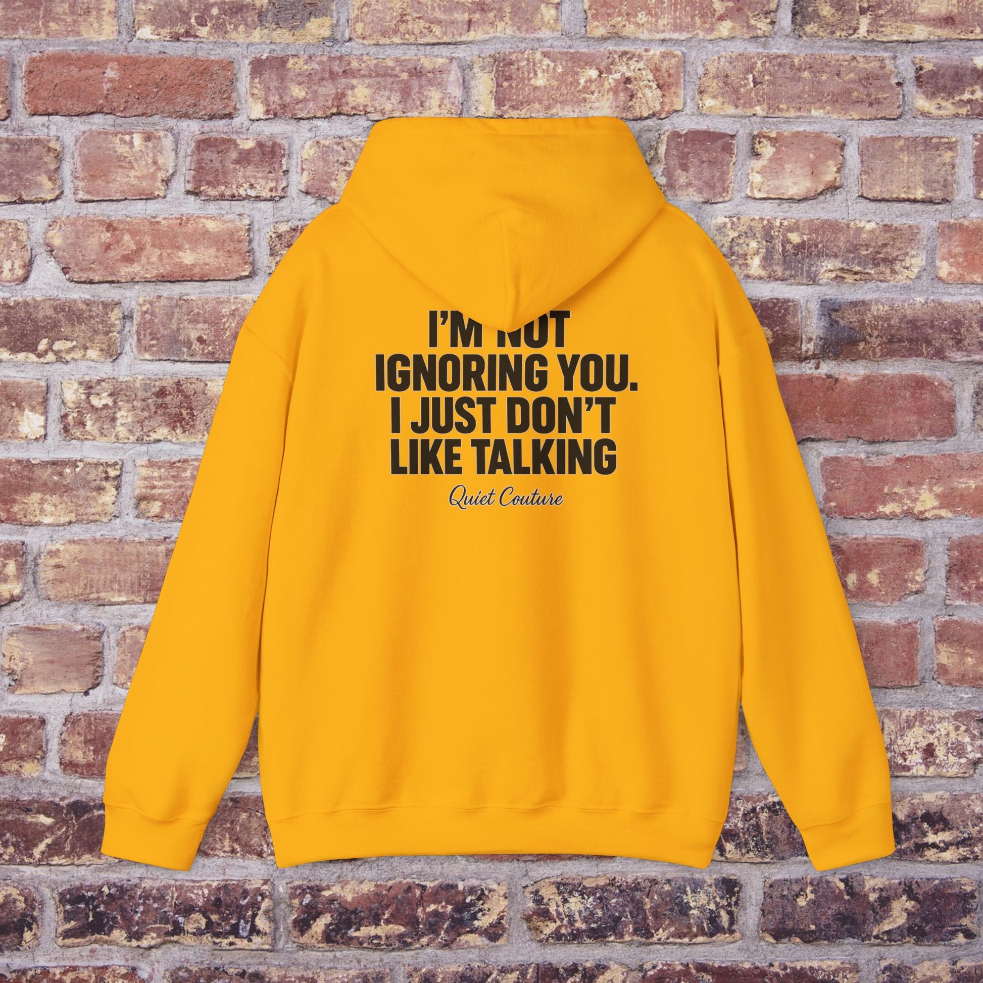 I’m Not Ignoring You” Streetwear Hoodie – Quiet Couture